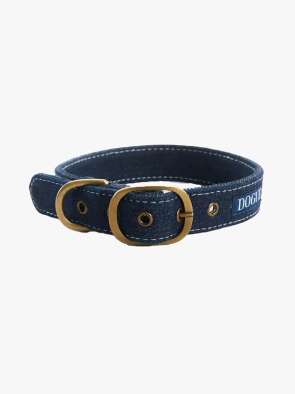 Denim Köpek Tasması