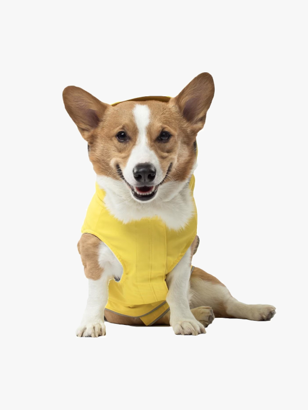 Sarı Köpek Tişörtü