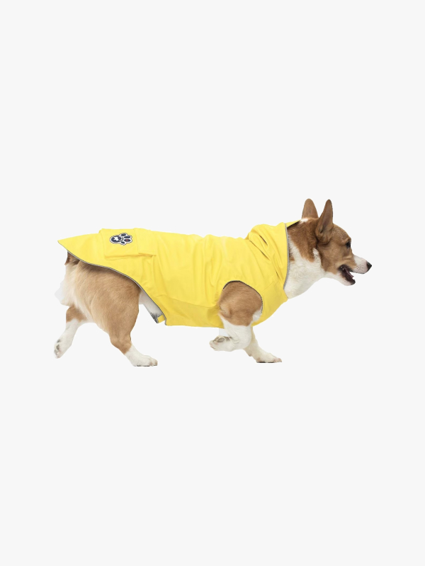 Sarı Köpek Tişörtü